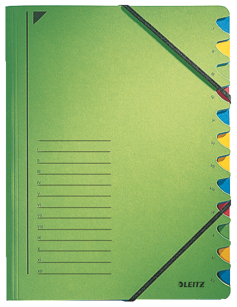 Třídící desky s gumičkou Leitz A4, 12 listů, zelené