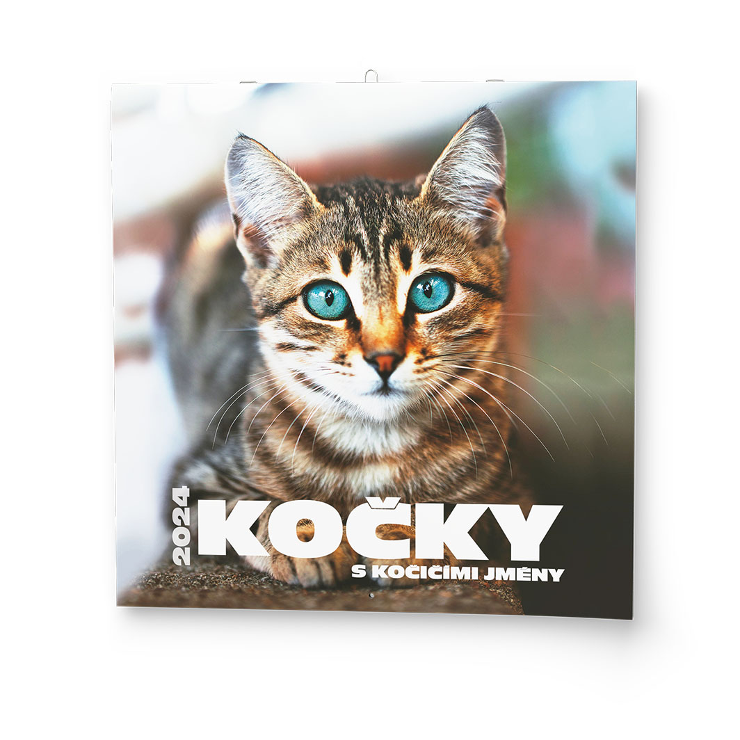 Kalendář nástěnný LP Kočky