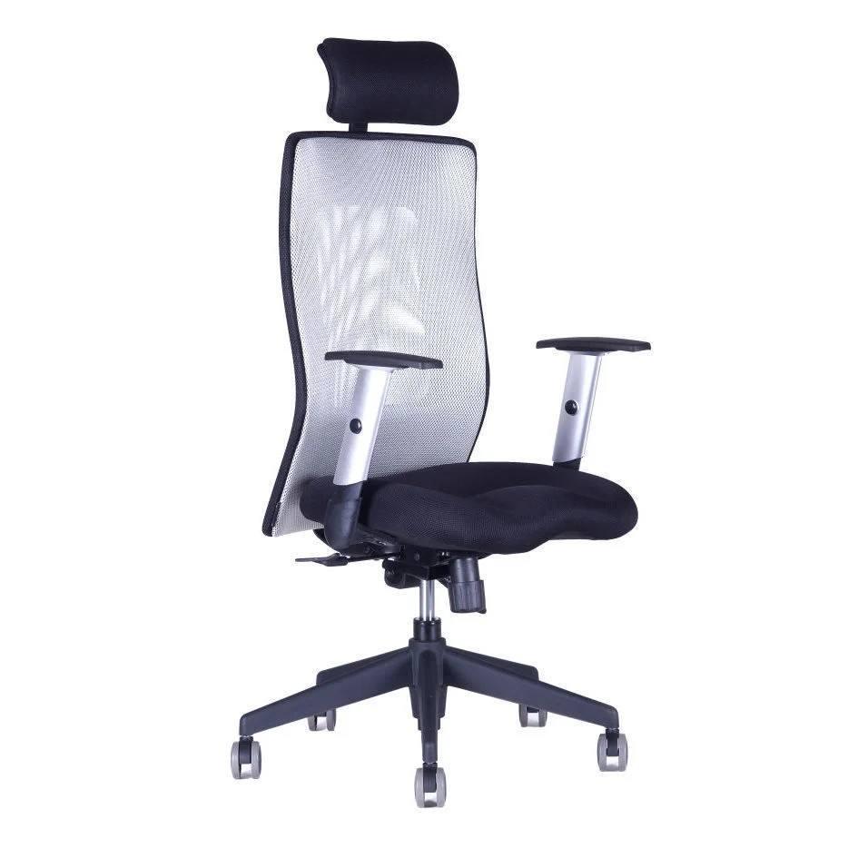 Kancelářská židle CALYPSO GRAND SP1 12A11 šedá
