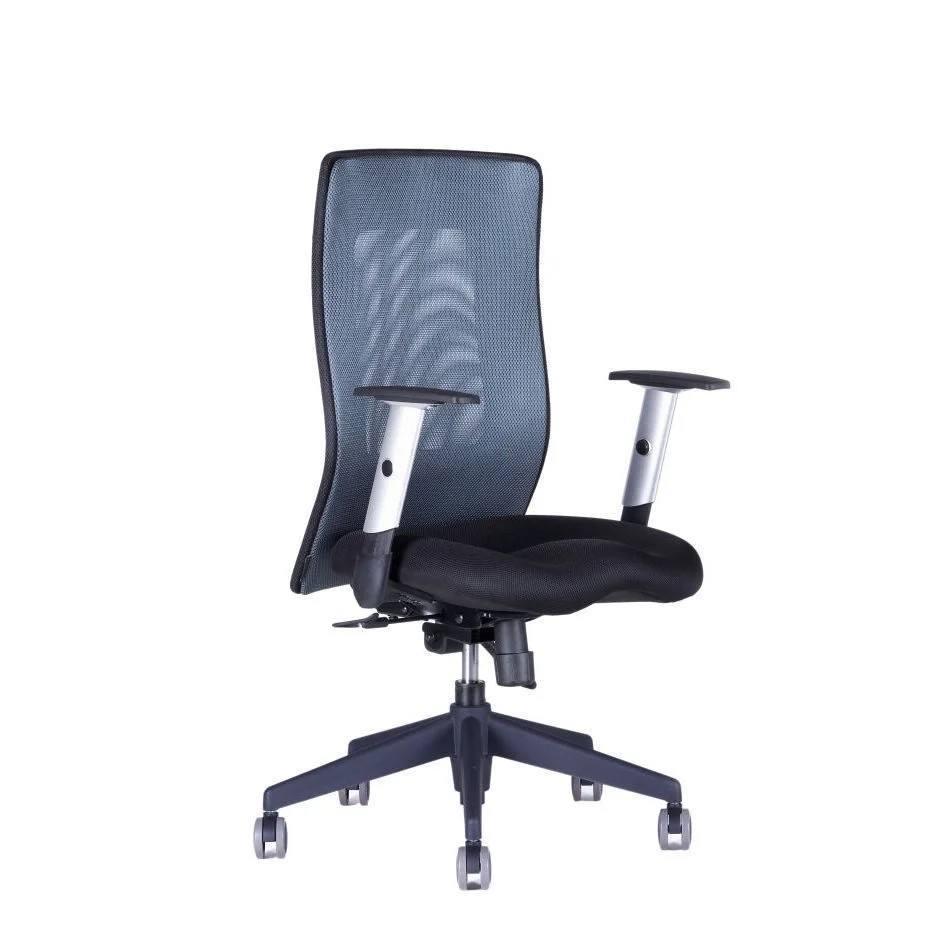 Kancelářská židle CALYPSO GRAND BP 1211 antracit