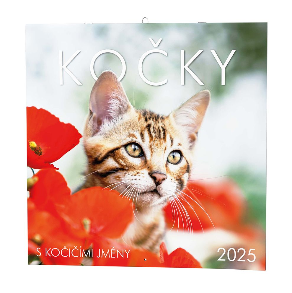 Kalendář nástěnný LP Kočky