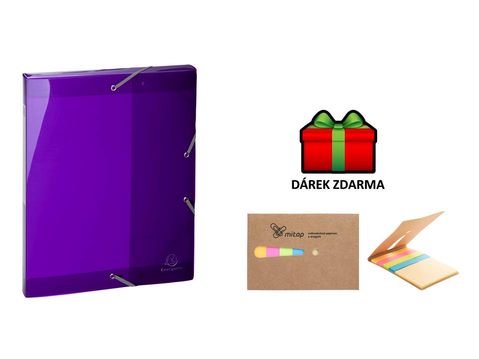 Exacompta box na spisy s gumičkou A4 maxi, hřbet 25mm fialov